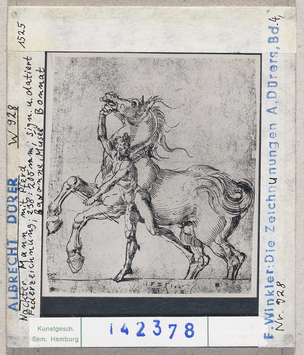 Vorschaubild Albrecht Dürer: Nakcter Mann mit Pferd. Bayonne, Musée Bonnat 
